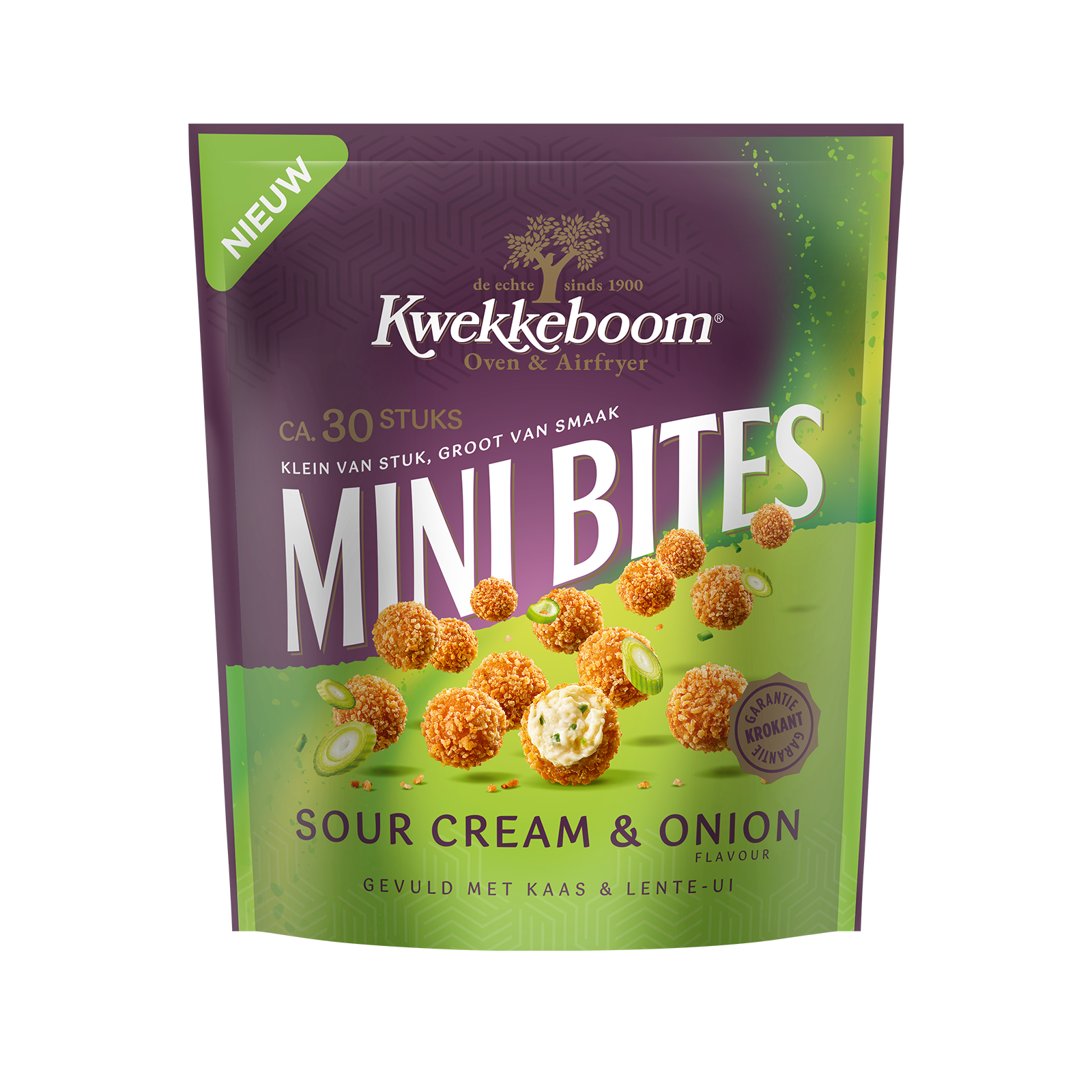 Sour Cream & Onion